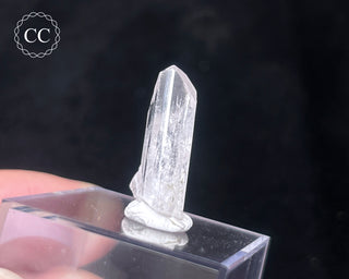 Danburite Crystal #1