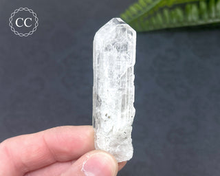 Danburite Crystal with Pyrite Inclusions #2