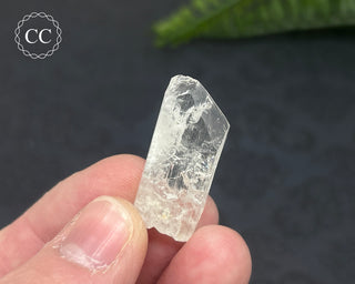 Danburite Crystal #5