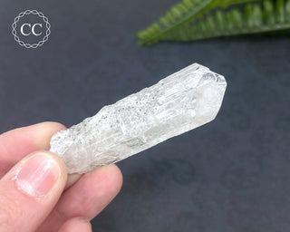 Danburite Crystal with Pyrite Inclusions #2