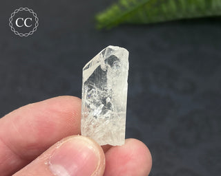 Danburite Crystal #5