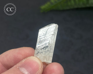 Danburite Crystal #5