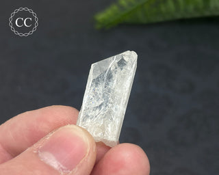 Danburite Crystal #5