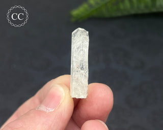 Danburite Crystal #5