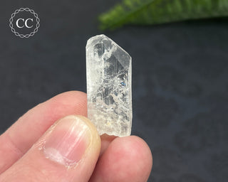 Danburite Crystal #5