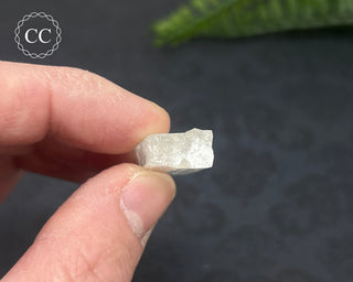 Danburite Crystal #5