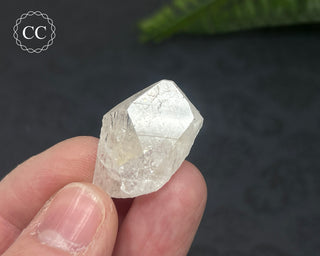 Danburite Crystal #6