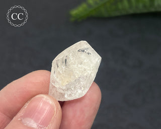 Danburite Crystal #6