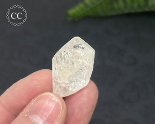 Danburite Crystal #6