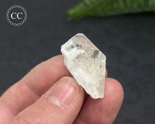 Danburite Crystal #6