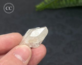 Danburite Crystal #6