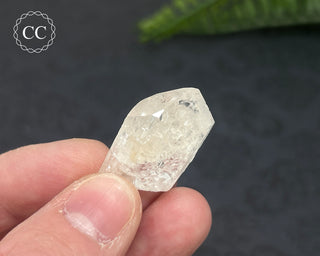 Danburite Crystal #6