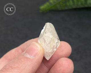 Danburite Crystal #6