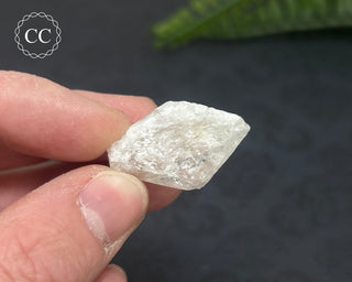 Danburite Crystal #6