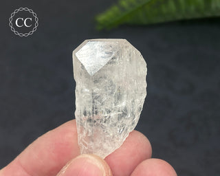 Danburite Crystal #7