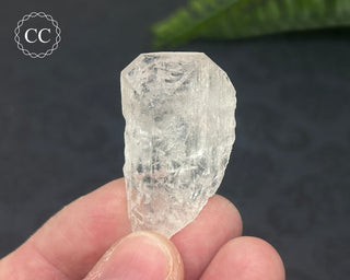 Danburite Crystal #7