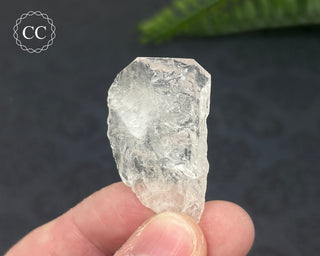 Danburite Crystal #7