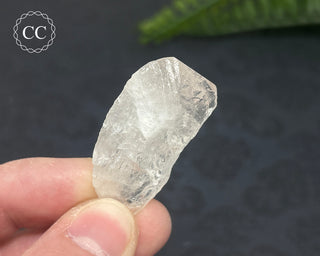 Danburite Crystal #7