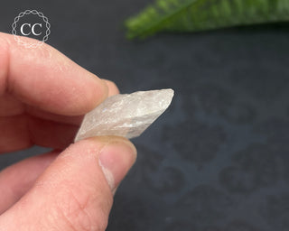 Danburite Crystal #7