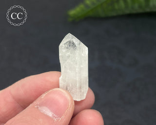 Danburite Crystal #8