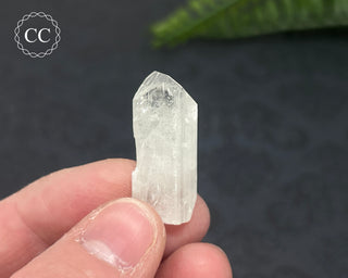 Danburite Crystal #8