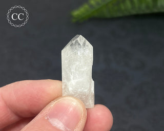 Danburite Crystal #8