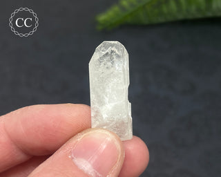 Danburite Crystal #8