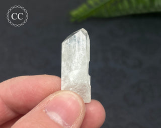 Danburite Crystal #8