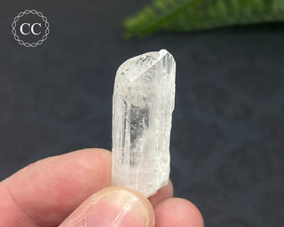 Danburite Crystal #9