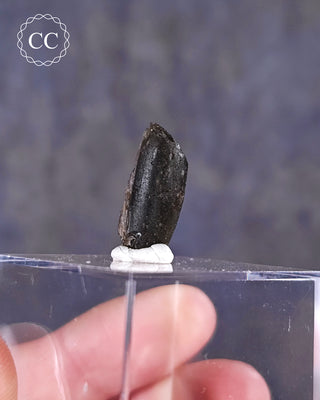 Darwin Glass Tektite #2