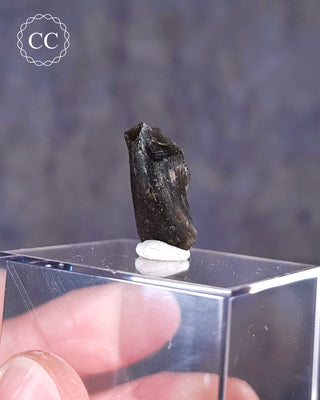 Darwin Glass Tektite #2