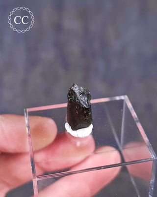 Darwin Glass Tektite #2