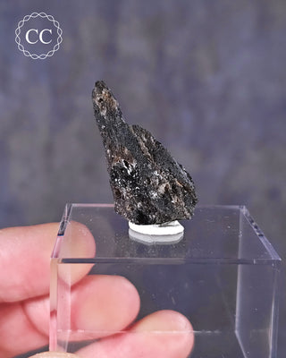 A Darwin Glass Tektite from Tasmania on a clear display box