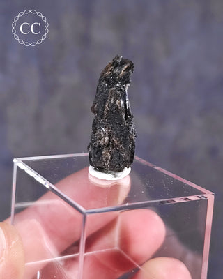 Darwin Glass Tektite #3
