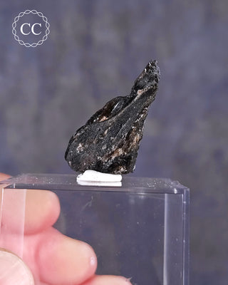 Darwin Glass Tektite #3