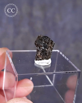 Darwin Glass Tektite #4