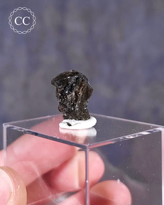 Darwin Glass Tektite #4