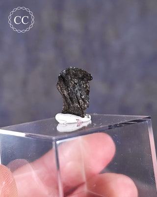 Darwin Glass Tektite #4