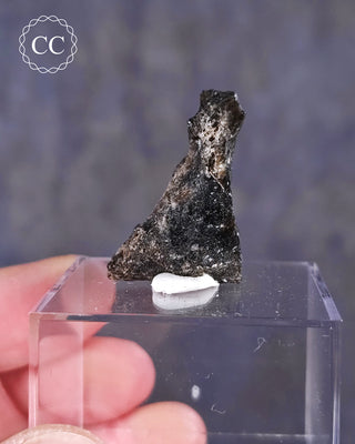 A Darwin Glass Tektite from Tasmania on a clear display box