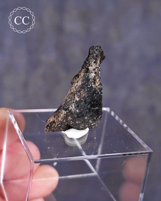 Darwin Glass Tektite #5