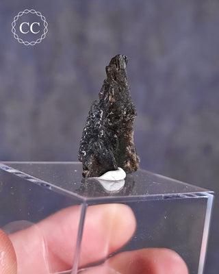 Darwin Glass Tektite #5