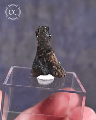 Darwin Glass Tektite #5