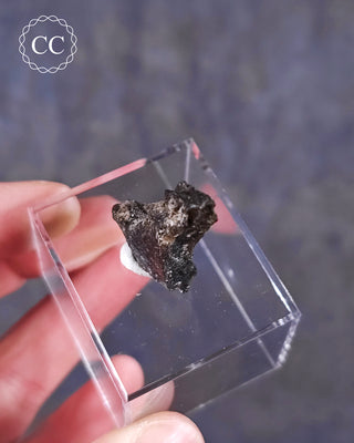 Darwin Glass Tektite #5