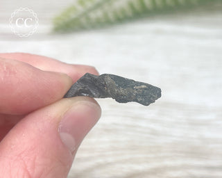 Darwin Glass Tektite #1