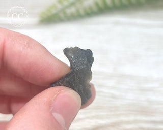 Darwin Glass Tektite #1