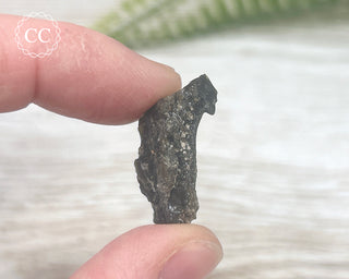 Darwin Glass Tektite #2