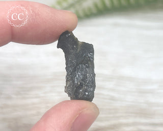 Darwin Glass Tektite #2