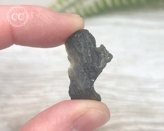 Darwin Glass Tektite #1