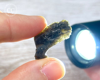 Darwin Glass Tektite #2