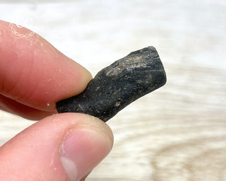 Darwin Glass Tektite #8